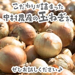 予約：2024年9月下旬から順次発送】北海道北見産 玉ねぎ 10kg ( 野菜