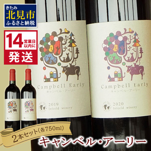 《14営業日以内に発送》キャンベル・アーリー2本セット ( ワイン お酒 酒 ぶどう セット )【138-0004】