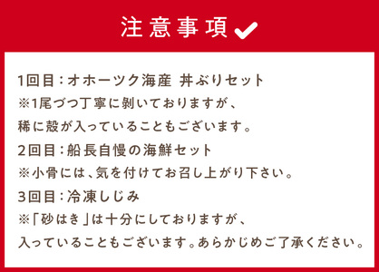 【3ヶ月定期便】船長おすすめ！海の幸セット ( ほたて ホタテ 海鮮丼 ほっけ 鮭 いか サーモン しじみ 定期便 魚介 )【999-0071】