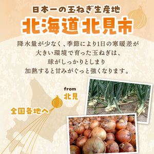 【予約：2024年9月から順次発送】日本一の生産地！北海道北見市の玉ねぎ 5kg！オニオンスープ2本付き♪ ( 玉ねぎ 玉葱 たまねぎ タマネギ オニオン スープ 即席 料理 )【164-0001-2024】