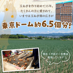 【予約：2024年9月から順次発送】日本一の生産地！北海道北見市の玉ねぎ 10kg！オニオンスープ2本付き♪ ( 玉ねぎ 玉葱 たまねぎ タマネギ オニオン スープ 即席 料理 )【164-0007-2024】