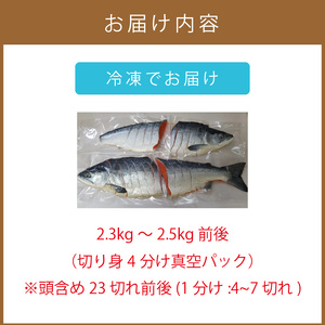 沖獲り 汐紅鮭 切り身 1尾 ( さけ 鮭 紅鮭 魚 魚介類 ふるさと納税 )【017-0016】