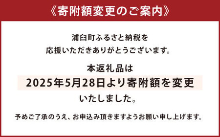 神内マンゴー 350g以上 2玉入り 【2025年7月上旬～2025年9月下旬発送】 果物 フルーツ マンゴー アーウィン 家庭用 北海道 浦臼町