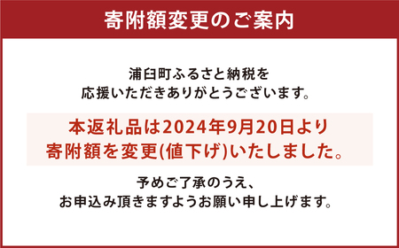 〈令和6年産〉浦臼産 ななつぼし 精白米 10kg （5kg×2袋） 【2024年10月下旬発送開始予定】新米 令和6年 先行予約 米 お米 こめ コメ ブランド米 ごはん ななつぼし 精米 白米 10kg 5kg 2袋 北海道産 北海道 浦臼町