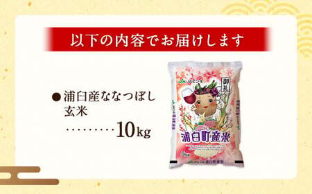 〈令和6年産〉 浦臼産 ななつぼし 玄米 10kg×1袋 新米 令和6年 米 お米 こめ コメ ブランド米 ごはん ななつぼし玄米 10kg 1袋 北海道産 北海道 浦臼町