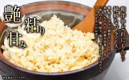 〈令和6年産〉 浦臼産 ななつぼし 玄米 10kg×1袋 新米 令和6年 米 お米 こめ コメ ブランド米 ごはん ななつぼし玄米 10kg 1袋 北海道産 北海道 浦臼町