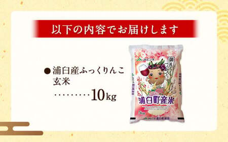 〈令和6年産〉浦臼産 ふっくりんこ 玄米 10kg×1袋 米 お米 ブランド米 北海道産 北海道 浦臼町