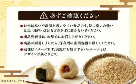 〈令和6年産〉浦臼産 ふっくりんこ 玄米 10kg×1袋 米 お米 ブランド米 北海道産 北海道 浦臼町