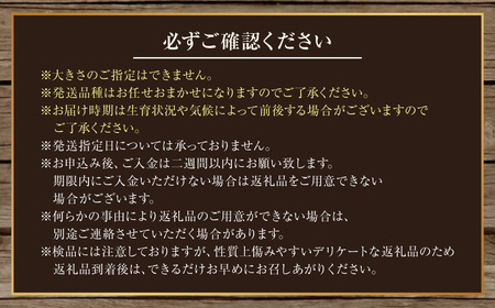 とうもろこし イエロー 約5kg 【2026年8月上旬～2026年8月下旬発送予定】 野菜 トウモロコシ コーン スイートコーン もろこし 甘い 北海道 浦臼町