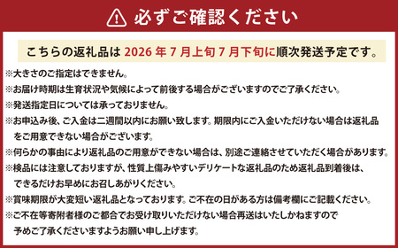 マドンナスイカ 1玉 （2～3Lサイズ） 【2026年7月上旬～2026年7月下旬発送予定】 果物 フルーツ すいか スイカ 西瓜 季節のフルーツ 旬のフルーツ 旬 甘い 北海道 浦臼町