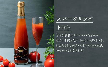 北海道のあじわい便り トマトづくし 720ml×4本 300ml×3本 計7本 飲料 トマト とまと ジュース トマトジュース ミニトマト 北海道 浦臼町