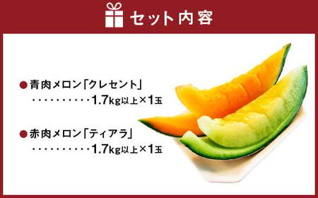 大玉 メロン 青肉 赤肉 各1玉 詰合せセット （1玉 1.7kg以上） 果物 フルーツ めろん 2玉 食べ比べ 北海道 浦臼町 【2026年7月上旬～8月上旬迄発送予定】