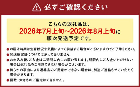 大玉 赤肉 メロン 2玉 詰め合わせ (1玉 1.7kg以上)果物 フルーツ めろん 赤肉メロン 北海道 浦臼町 【2026年7月上旬~8月上旬迄発送予定】