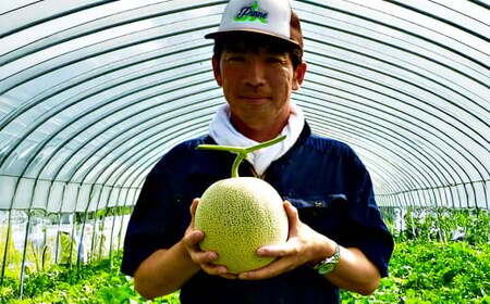 大玉 赤肉 メロン 2玉 詰め合わせ (1玉 1.7kg以上)果物 フルーツ めろん 赤肉メロン 北海道 浦臼町 【2026年7月上旬~8月上旬迄発送予定】