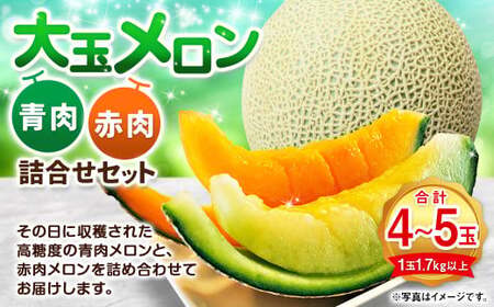 大玉 メロン 青肉 赤肉 4～5玉 詰合せ セット （1玉 1.7kg以上）  果物 フルーツ めろん 4玉 5玉 食べ比べ 北海道 浦臼町 【2026年7月上旬～8月上旬迄発送予定】