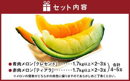 大玉 メロン 青肉 赤肉 4～5玉 詰合せ セット （1玉 1.7kg以上）  果物 フルーツ めろん 4玉 5玉 食べ比べ 北海道 浦臼町 【2026年7月上旬～8月上旬迄発送予定】