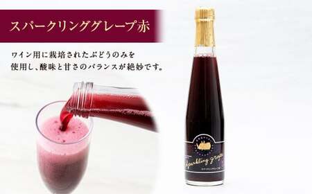 北海道サイダー 5本 セット 3種 各300ml | 飲料 ドリンク スパークリング トマト グレープ 炭酸 北海道産