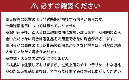 ミニトマト「北海道ルビー」約2kg バラ 野菜 高糖度 北海道 浦臼町 【2026年6月下旬 ~ 10月下旬迄発送予定】