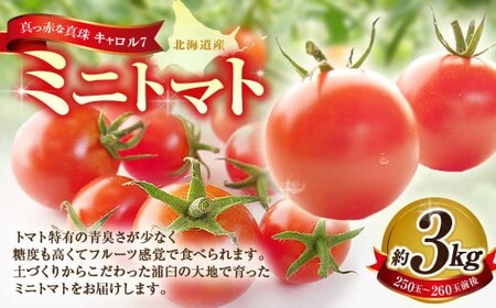 ミニトマト 約3kg 野菜 トマト キャロルセブン とまと 高糖度 浦臼産 北海道産 国産 3kg 北海道 浦臼町 【2026年7月下旬～9月上旬発送予定】