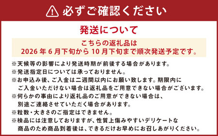 ミニトマト 「北海道ルビー」 （1kg）とミニトマトジュース（200ml×5本）セット 野菜 トマト ミニトマト 高糖度  飲料 ジュース 北海道 浦臼町 【2026年6月下旬～2026年10月下旬発送予定】 
