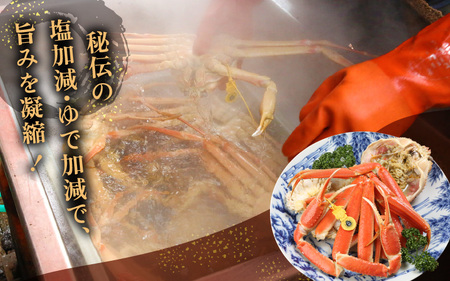 【訳あり】蟹本場 越前町より 浜茹で越前がに  中（生で600～800g） 1杯 【2月発送】 [e43-x009_02] 