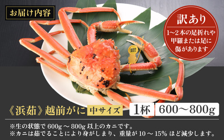 【訳あり】蟹本場 越前町より 浜茹で越前がに  中（生で600～800g） 1杯 【2月発送】 [e43-x009_02] 