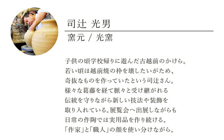  越前焼のふるさと越前町からお届け！ビアジョッキ 光窯 越前焼 越前焼き 【ビール コップ カップ マグカップ 食器  ギフト うつわ 電子レンジ 食洗器  工芸品 現代の名工 名工 陶器 】[e25-a015] 