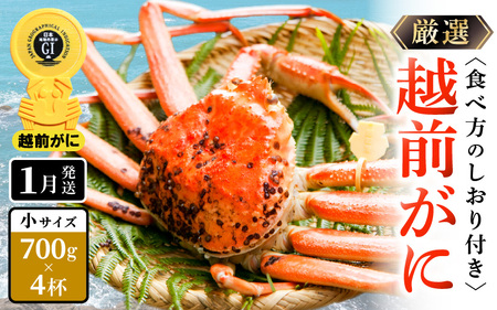 【蟹本場 】 越前町からお届け！越前カニ浜茹で小（生で700g以上）4杯【1月発送】 [e14-x015_01] 