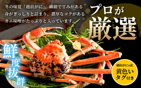 【蟹本場 】 越前町からお届け！越前カニ浜茹で小（生で700g以上）4杯【1月発送】 [e14-x015_01] 