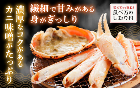 【蟹本場 】 越前町からお届け！越前カニ浜茹で中サイズ（生で900g以上）2杯【1月発送】 [e14-x016_01] 