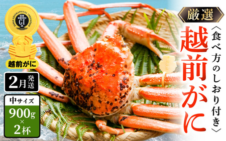 【蟹本場 】 越前町からお届け！越前カニ浜茹で中（生で900g以上）2杯【2月発送】 [e14-x016_02] 