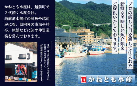 ≪浜茹で≫越前がに 中サイズ（生で900g以上）× 2杯 合計1.8kg以上 【3月発送分】 [e14-x016_03] 食べ方しおり付【雄 ズワイガニ かに カニ 蟹 越前ガニ 姿 ボイル 冷蔵 福井県】希望日指定可 備考欄に希望日をご記入ください