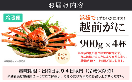 ≪浜茹で≫越前がに 中サイズ（生で900g以上）× 4杯 合計3.6kg以上 【3月発送分】 食べ方しおり付【雄 ズワイガニ かに カニ 蟹 越前ガニ 姿 ボイル 冷蔵 福井県】希望日指定可 備考欄に希望日をご記入ください [e14-x017_03]