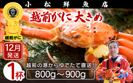 ≪浜茹で≫越前ずわい蟹 大きめサイズ× 1杯（800～900g）地元で喜ばれるゆで加減・塩加減で越前の港から直送！【12月発送分】【雄 ズワイガニ ずわいがに 姿 ボイル 冷蔵 福井県】希望日指定可 備考欄に希望日をご記入ください [e23-x008_12]