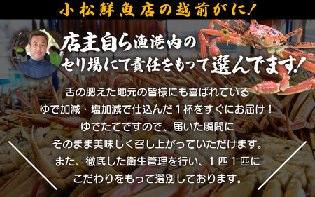 ≪浜茹で≫越前ずわい蟹 大きめサイズ× 1杯（800～900g）地元で喜ばれるゆで加減・塩加減で越前の港から直送！【12月発送分】【雄 ズワイガニ ずわいがに 姿 ボイル 冷蔵 福井県】希望日指定可 備考欄に希望日をご記入ください [e23-x008_12]