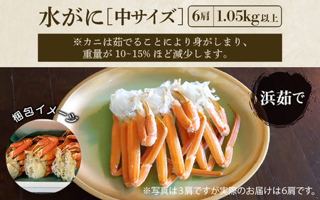 浜茹で越前蟹 「水がに」中 6肩（1.05kg) 越前町【3月発送】 [e23-x011]