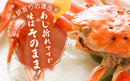 【訳あり】蟹本場 越前町からお届け！足折れ 越前カニ 浜茹で 大きめ（生で800～900g）1杯 【2月発送】 [e23-x013_02] 