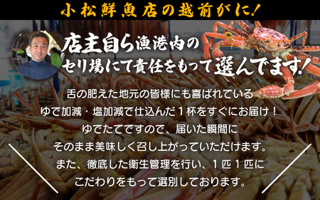 【訳あり】越前がに本場の越前町からお届け！足折れ 越前がに 浜茹で 特大サイズ（生で1.1～1.2kg） × 1杯【12月発送分】 [e23-x014_12] 越前町 雄 ズワイガニ ボイル 冷蔵 越前がに 越前ガニ 越前かに 越前カニ