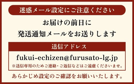 【訳あり】越前がに本場の越前町からお届け！足折れ 越前がに 浜茹で 特大サイズ（生で1.1～1.2kg） × 1杯【12月発送分】 [e23-x014_12] 越前町 雄 ズワイガニ ボイル 冷蔵 越前がに 越前ガニ 越前かに 越前カニ