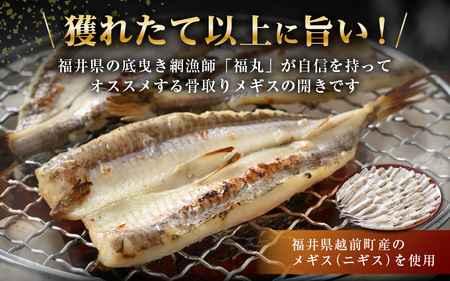  食べやすい越前の魚！骨取り メギス 開き 約1kg（50尾前後）500g × 2袋 網元漁師「福丸」厳選！【ニギス にぎす さかな めぎす おかず グルメ 小分け 冷凍 個包装 グルメ 惣菜  魚介類 海鮮 焼魚 フライ 揚げ物 バーベキュー】 [e15-a023]