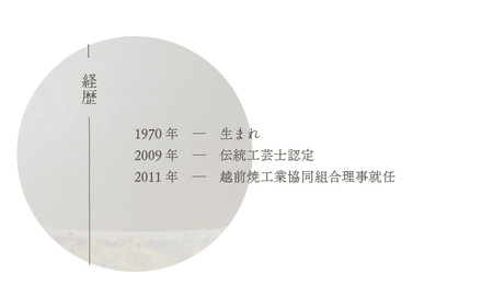  越前焼のふるさと越前町からお届け！ サラダボウル 大 宗山窯 越前焼 越前焼き 【ラーメン鉢 うどん鉢 マルチ 碗 ボール 鉢 Bowl おしゃれ 食卓 食器 ギフト うつわ 電子レンジ 食洗機 伝統工芸士 工芸品 陶器】 [e25-a084]