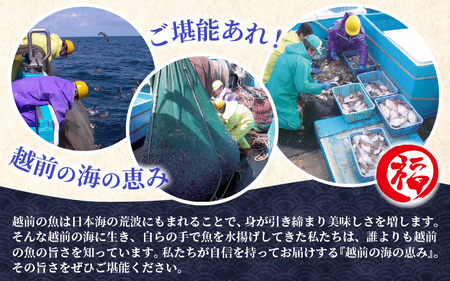 福井ご当地グルメ 無化調 鯖へしこ半身5パック ピロール米ぬか使用 [e15-a003]