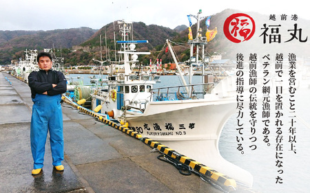 無添加 かれい煎餅 50g × 5パック【越前産カレイ100%使用】 [e15-a007]