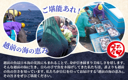 無添加 かれい煎餅 50g × 5パック【越前産カレイ100%使用】 [e15-a007]