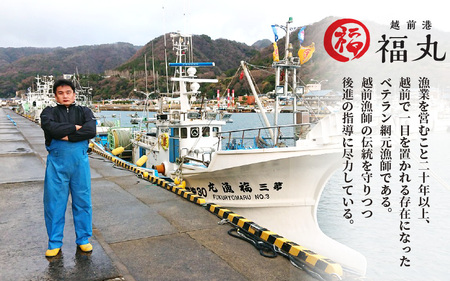 明太子入り焼き鯖  越前珍味「ごうじょうさば」 3尾 【骨抜き】 [e15-b001]