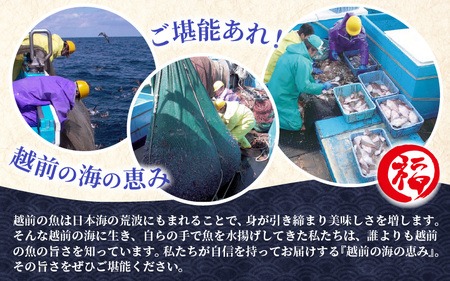 明太子入り焼き鯖  越前珍味「ごうじょうさば」 3尾 【骨抜き】 [e15-b001]