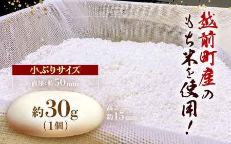 雪んこ餅 杵つき 丸小もち  600g（ 30g × 20個 ) 小さいサイズ 国産 【雑煮 ぜんざい   添加物不使用 少量 】 [e26-a010]