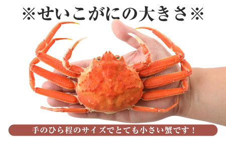 【訳あり】急速冷凍  ボイル越前蟹 「せいこがに」 5杯 越前町 [e15-b009]