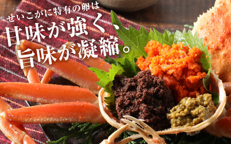 【訳あり】急速冷凍  ボイル越前蟹 「せいこがに」 5杯 越前町 [e15-b009]