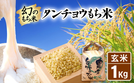 【新米】お試し 幻のもち米 タンチョウ もち米 1kg（玄米） 令和6年産【お米 米 こめ コメ kome 福井県産 モチ たんちょう おこわ 餅 おもち 4000円 常温 年末 赤飯 餅つき 】 [e35-a016]